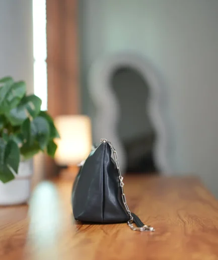 Small Bow Bag